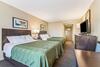 Hotel Comfort Inn Portsmouth