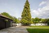 Gorgeous 4brd House Conveniently Located In Nanaimo