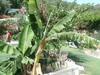 Gizli Vadi Camping&pension