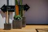 Apartamento Auszeit Neusiedlersee Top 1