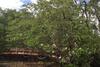 Beach House Bungalow With Pool North Miami Beach