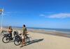 Chalet Dans La Pin�de Entre Lac Et Oc�an