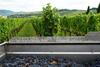 Agroturismo Fattoria Viticcio