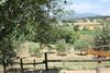 Agroturismo Agriturismo Val Della Pieve