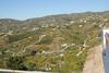 Apartamento Casa De Amanda In Frigiliana