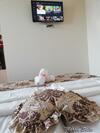 Hostal Martin'suite