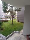 Rainfort Apart