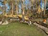 Villa Charmigt Hus I Skogen, Men Mitt I Stan