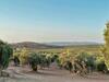 Villas Rurales Arroyovil 28 Ideal Familias