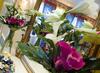 Hotel Relais Du Silence Ch�teau De Beaulieu Et Magnolia Spa