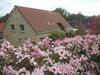 Bed & Breakfast Au Chardon Bleu