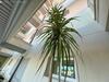 Apartamento Isla Feliz In Golf Del Sur