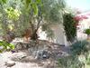 Villa La Molina Del Olivar - Peaceful Location