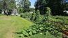 The Farmstand Bed & Breakfast