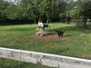 Bed & Breakfast Le Pr� Aux Daims