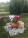 Hostal Pension Valentina