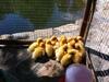 Hostal Pension Valentina
