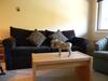 Apartamentos Slopeside Rentals