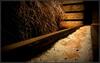 Hotel Forum Fitness Spa & Wellness