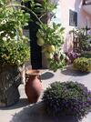Agroturismo Cascina Sciulun
