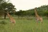 Kedar Country Lodge, Conference Centre & Spa
