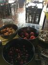 Hostal Agriturismo Ruralia