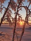Lapland Dream Villas