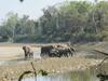 Nature Safari Lodge