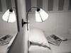 Hostal Affittacamere Lungomare Rooms
