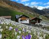 Hostal Padoellhof