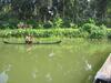 Bed & Breakfast Gk`s Riverview Homestay