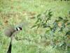 Meerkatplaats Guesthouse And B&B