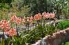 Agroturismo Countryhouse La Rueda