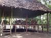 Jungle Explorer Lodge