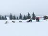 Hotel Grund Resort Golf And Ski
