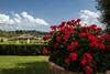 Agroturismo Agriturismo Sanguineto
