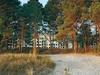 Apartamento Prora Solitaire Amber Sea 14
