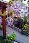 Posada Chengdu Season Inn.youth Inn
