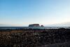 Oceantree House