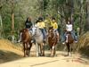 Hostal Pousada Rural Para�so
