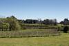 Bed & Breakfast El Ombu