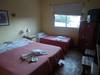 Bed & Breakfast Posada Del Arbol