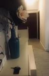 Apartamento Georgiana Residence Mamaia