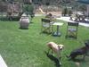 Apartamento Socrates Organic Village - Wild Olive