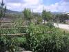 Apartamento Socrates Organic Village - Wild Olive