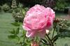 Ferienhaus Humptrup