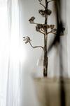 Bed & Breakfast La Maison Sur La Place