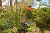 Bed & Breakfast Poz Lagon