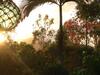 Hostal Butterfly Studio