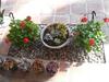 Bed & Breakfast Villa3633